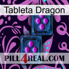 Dragon Tablet 03